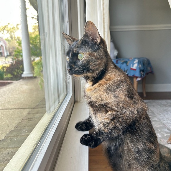 Meet your Posher, Alexaatrea - Picture 1 of 1